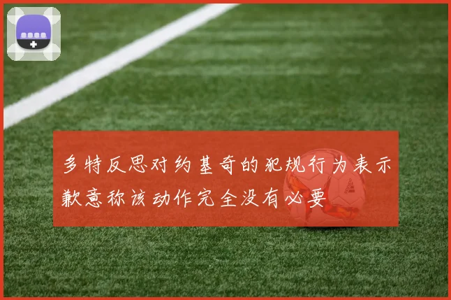 多特反思对约基奇的犯规行为表示歉意称该动作完全没有必要